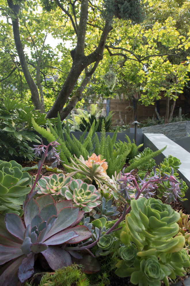 Idee per un grande giardino formale contemporaneo esposto a mezz'ombra dietro casa con un focolare e pavimentazioni in pietra naturale