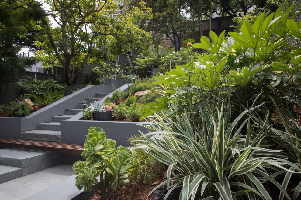 Ispirazione per un giardino xeriscape design esposto a mezz'ombra dietro casa e di medie dimensioni con un focolare e pavimentazioni in pietra naturale