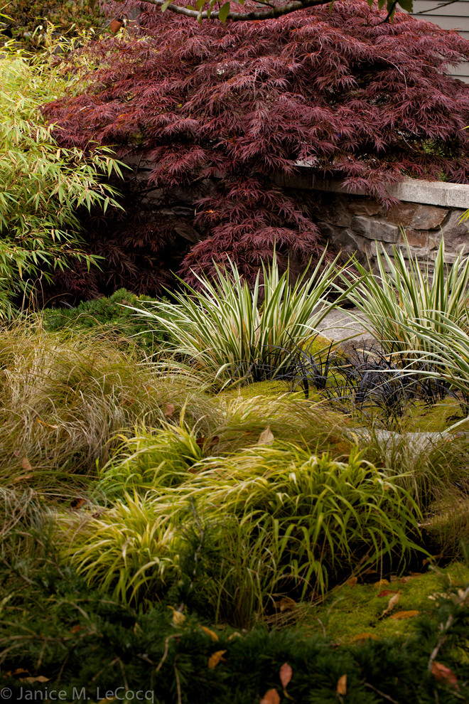 シアトルにあるコンテンポラリースタイルのおしゃれな庭の写真