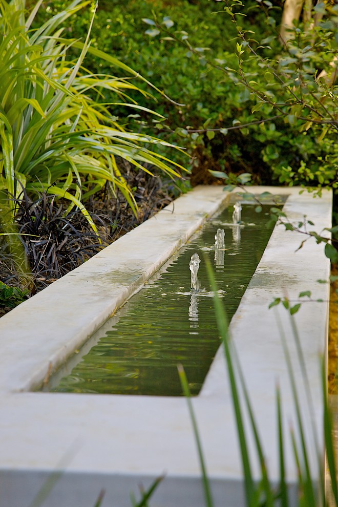 Cette image montre un jardin minimaliste.