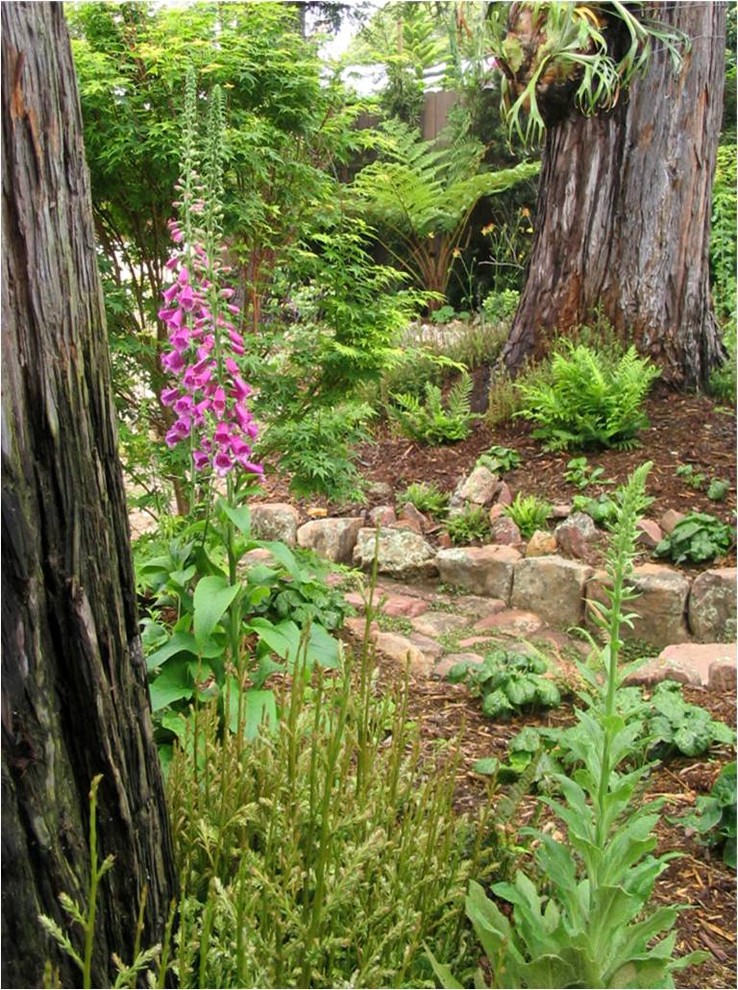 Exempel på en eklektisk trädgård i skuggan, med naturstensplattor