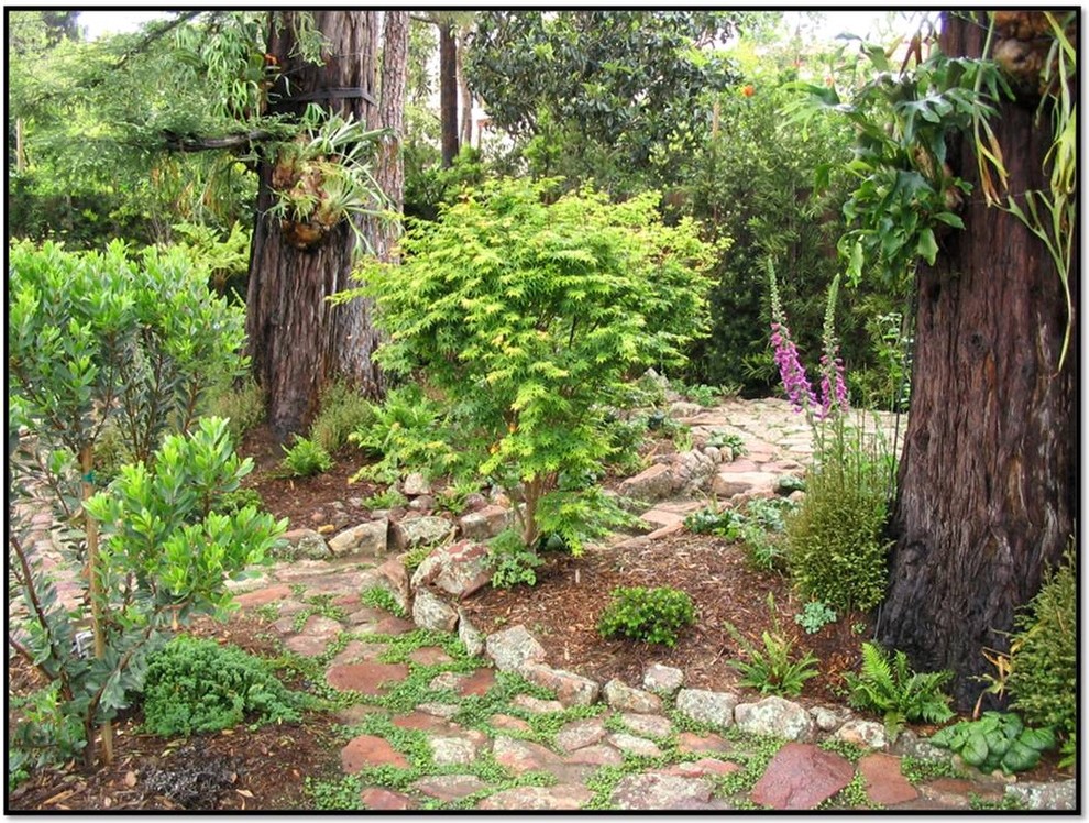 Foto de jardín bohemio con exposición reducida al sol y adoquines de piedra natural