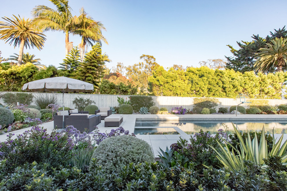 Design ideas for a contemporary back xeriscape garden in Santa Barbara with a garden path and concrete paving.
