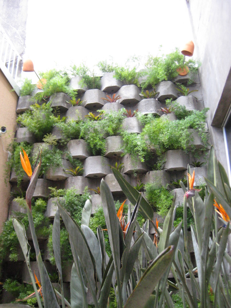 Diseño de jardín tropical con jardín vertical