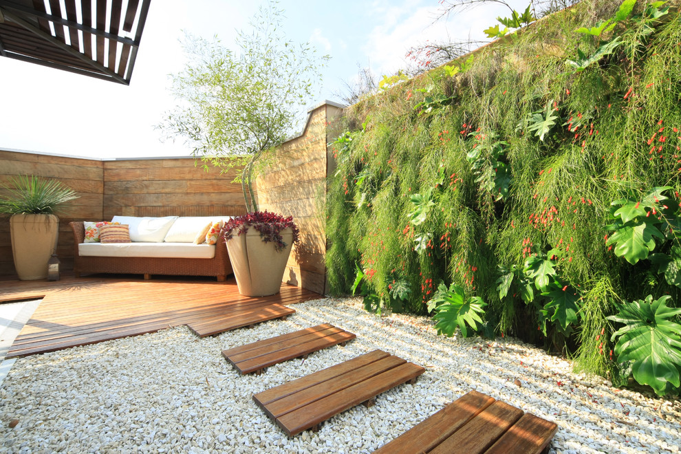 Design ideas for a world-inspired garden wall in Other with a living wall.