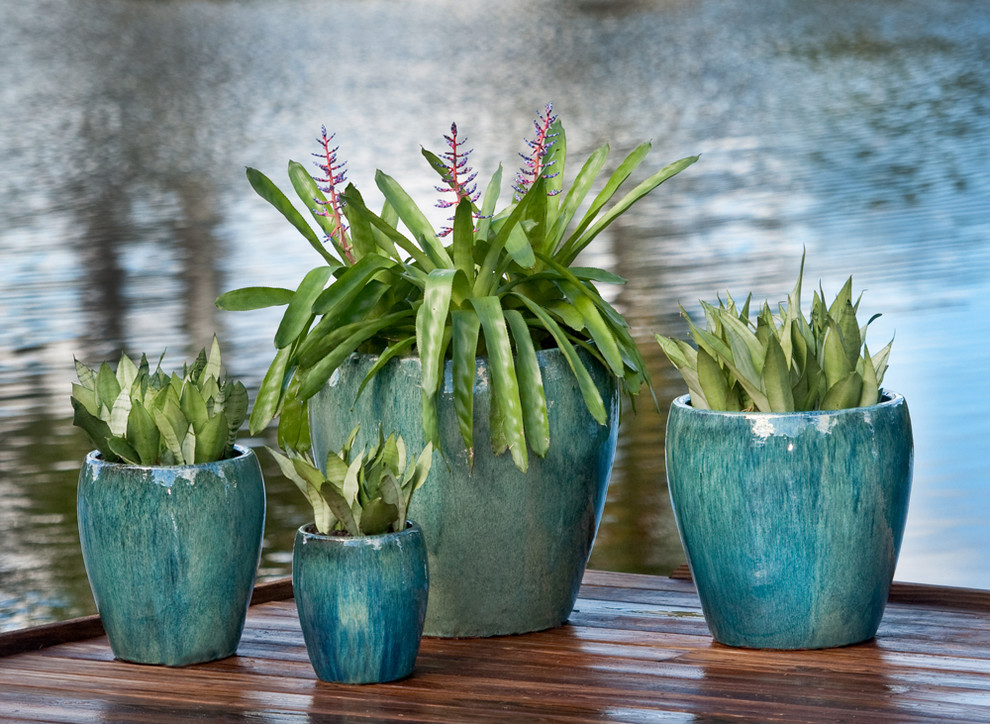 Foto di un giardino tropicale con un giardino in vaso