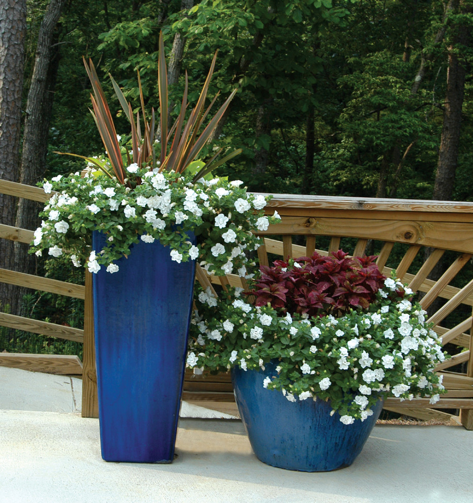 Palm Beach Container Gardens - Transitional - Landscape - Miami - by