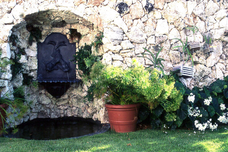 Foto de jardín tropical en patio trasero con exposición total al sol y adoquines de piedra natural