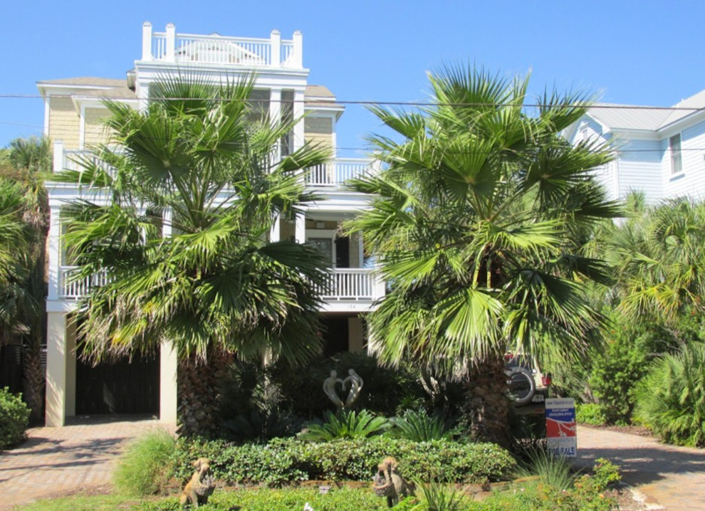 Palm Tree Gallery - Landscape - Charleston - by Cold Hardy Palms and ...