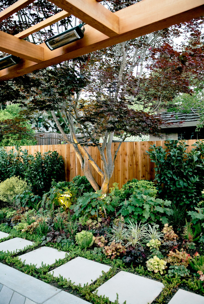 Aménagement d'un aménagement d'entrée ou allée de jardin arrière contemporain de taille moyenne avec une exposition ombragée et des pavés en béton.