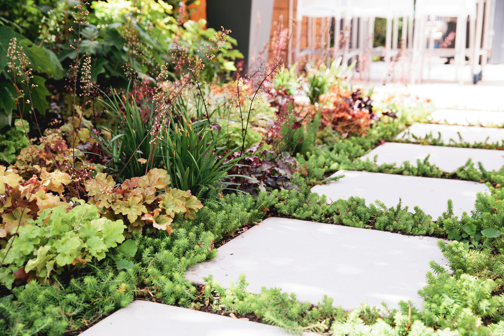 Inspiration for a mid-sized modern shade backyard concrete paver garden path in San Francisco.