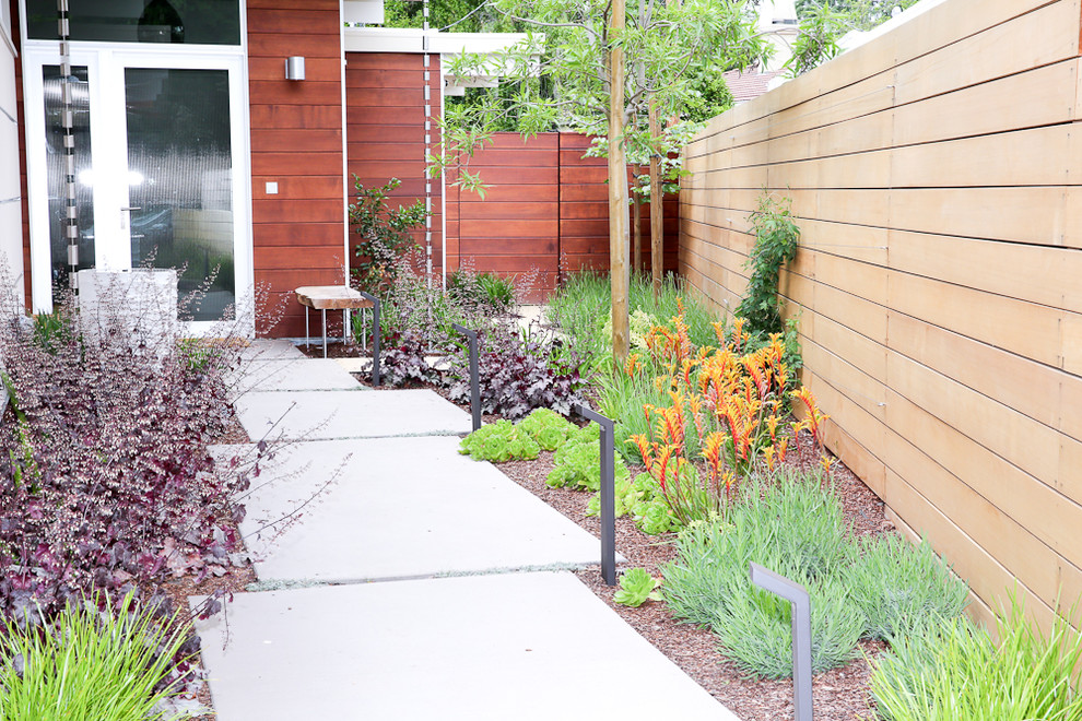 Cette photo montre un jardin avant rétro de taille moyenne avec une exposition ensoleillée et des pavés en béton.