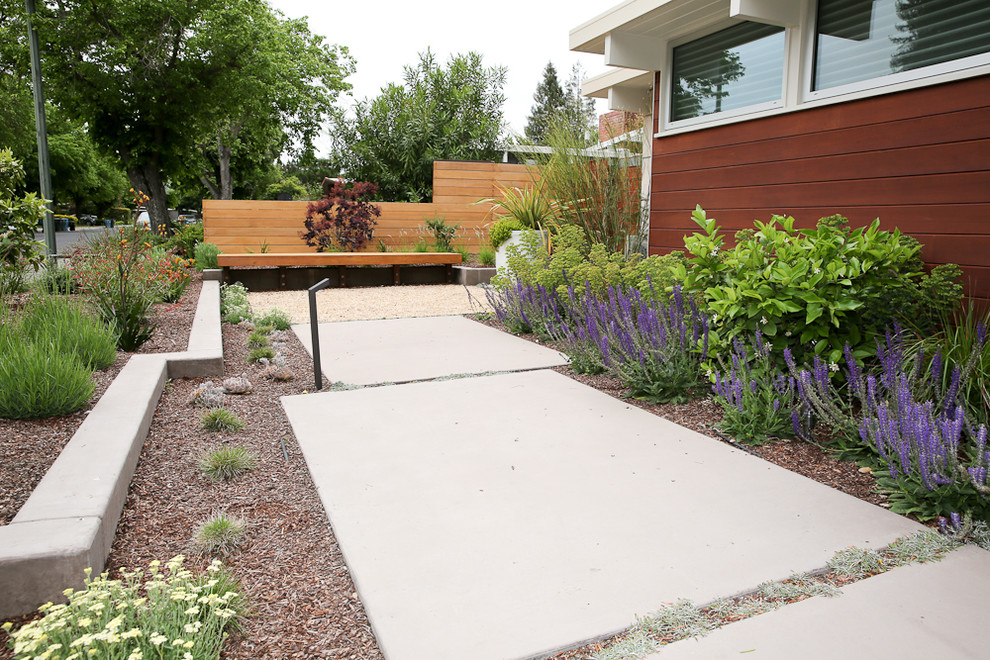 Ispirazione per un giardino xeriscape minimalista esposto in pieno sole di medie dimensioni e davanti casa con un ingresso o sentiero e pavimentazioni in cemento