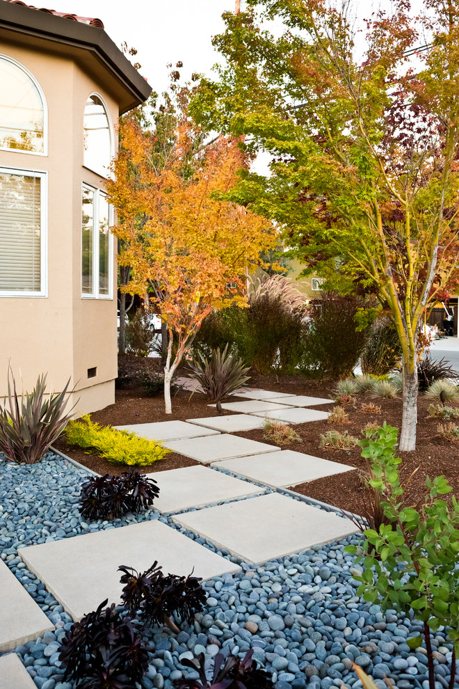 Foto di un giardino minimalista di medie dimensioni e davanti casa con un ingresso o sentiero e pavimentazioni in cemento