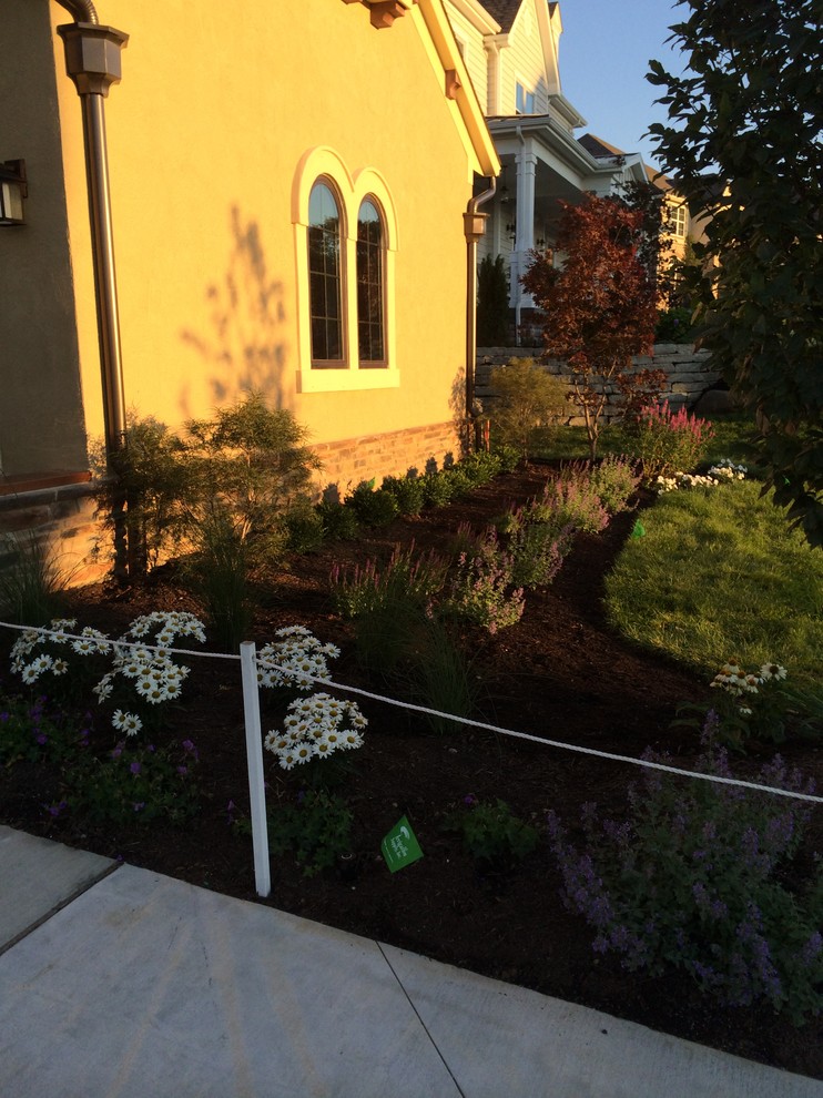 Geräumiger, Geometrischer Mediterraner Garten im Sommer, hinter dem Haus mit direkter Sonneneinstrahlung und Betonboden in Kolumbus