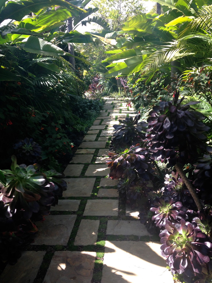 Esempio di un ampio giardino tropicale esposto in pieno sole dietro casa con fontane e pavimentazioni in pietra naturale