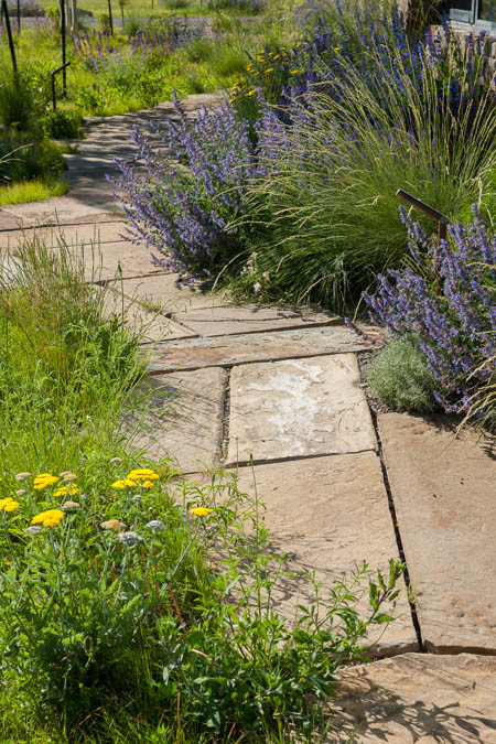 Imagen de camino de jardín de secano clásico grande en verano en patio con exposición total al sol y adoquines de piedra natural