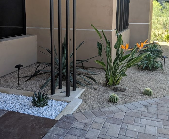 Photo of a modern courtyard xeriscape garden in Phoenix with a desert look.