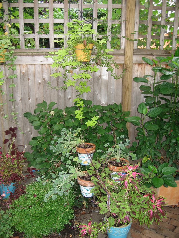 Cette photo montre un petit jardin arrière chic avec une exposition ombragée.