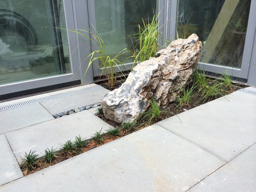 Photo of a small contemporary back garden in New York with natural stone paving.