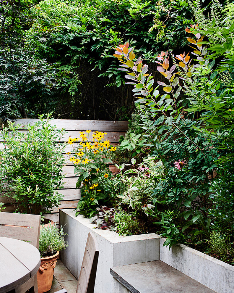 Design ideas for a mid-century modern backyard landscaping in New York.