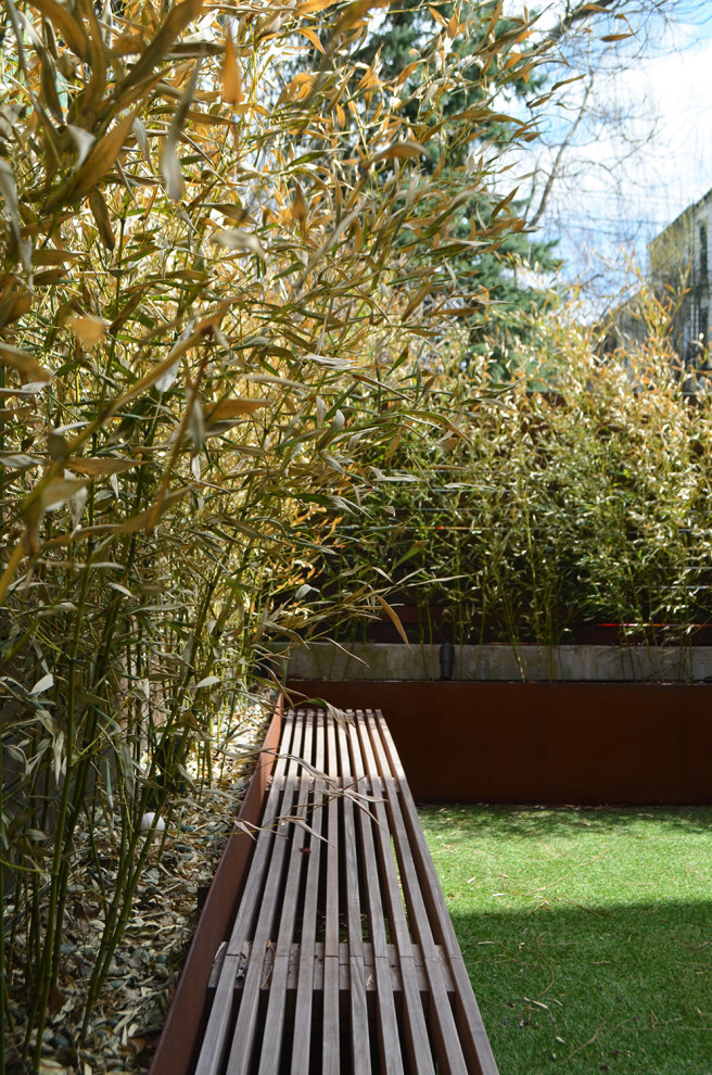 На фото: маленький засухоустойчивый сад на заднем дворе в стиле модернизм с перегородкой для приватности, полуденной тенью и мощением тротуарной плиткой для на участке и в саду с