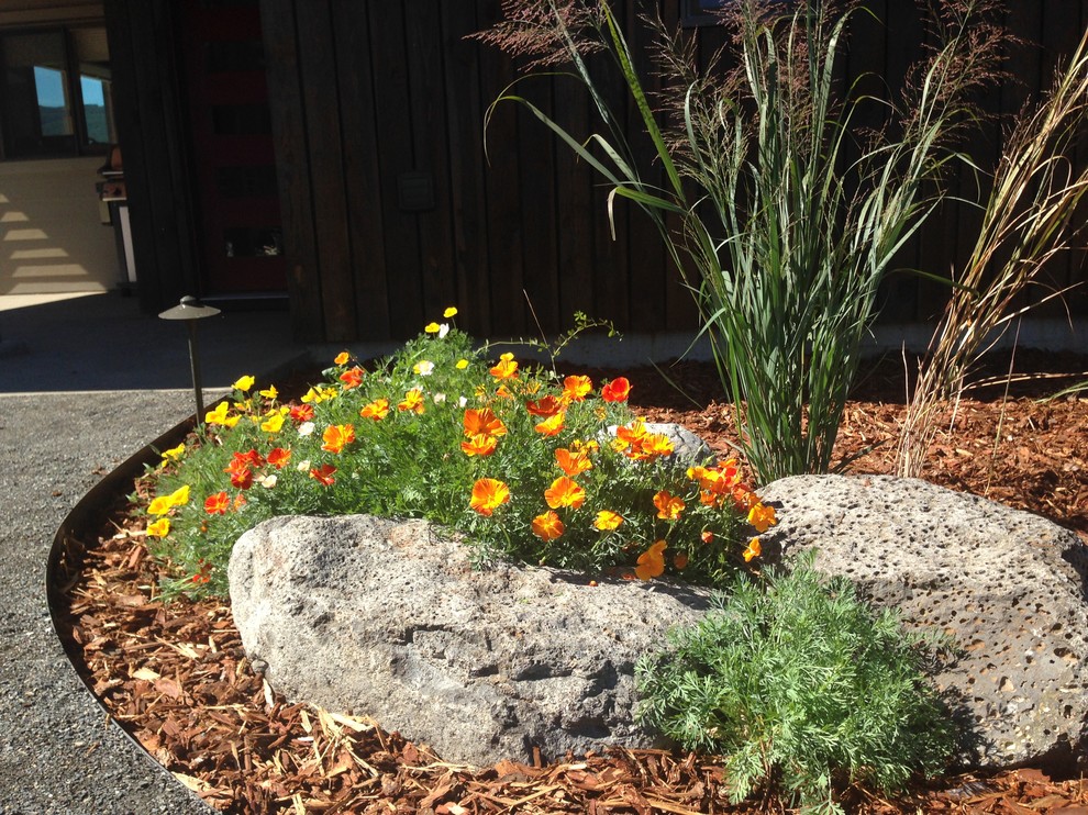 Geräumiger Landhaus Garten im Sommer mit direkter Sonneneinstrahlung und Mulch in Portland