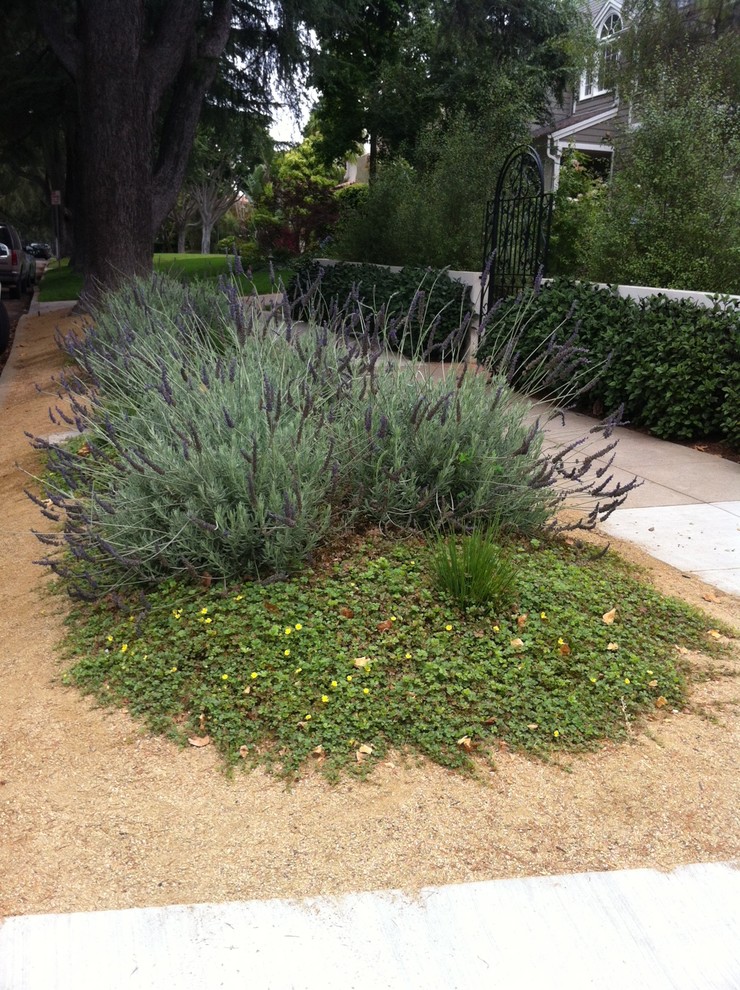 This is an example of a mediterranean front garden in Los Angeles with decomposed granite.