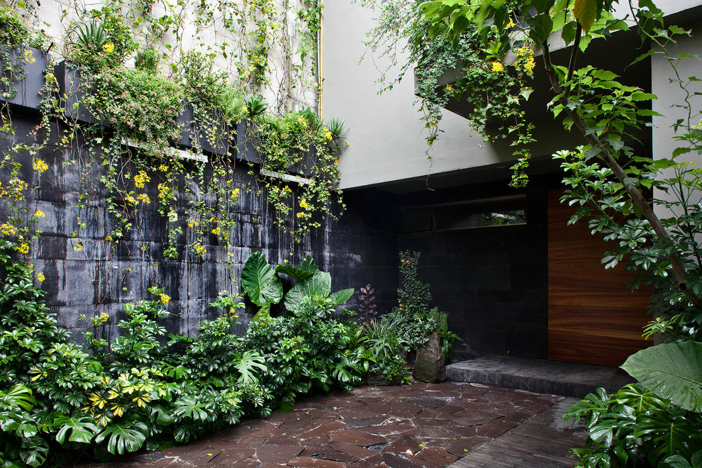 Moderner Garten im Innenhof in Mexiko Stadt