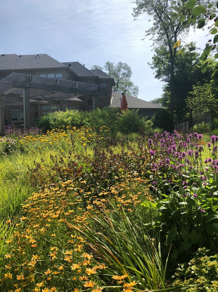 Großer Moderner Garten hinter dem Haus mit direkter Sonneneinstrahlung in Chicago