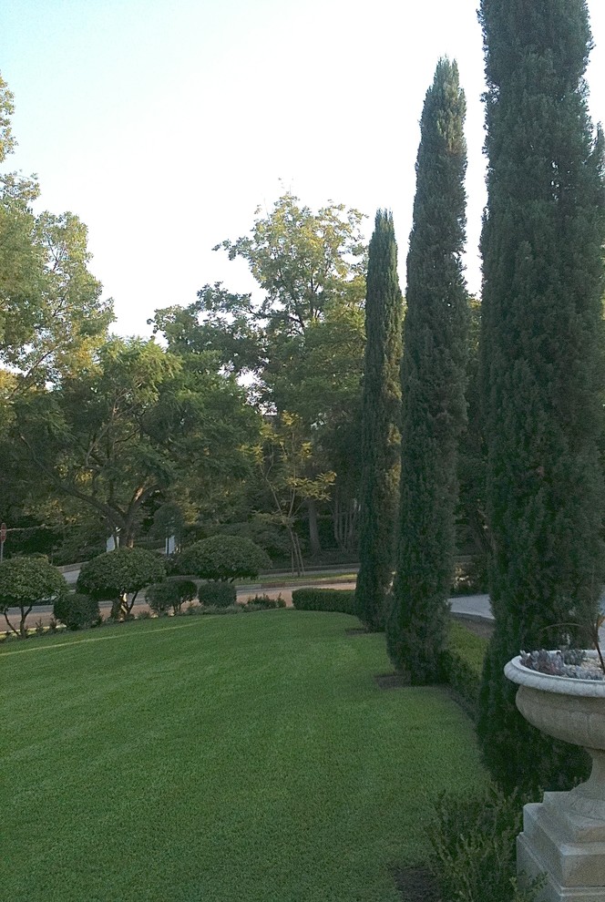 Foto di un grande giardino american style davanti casa con un ingresso o sentiero e pavimentazioni in pietra naturale