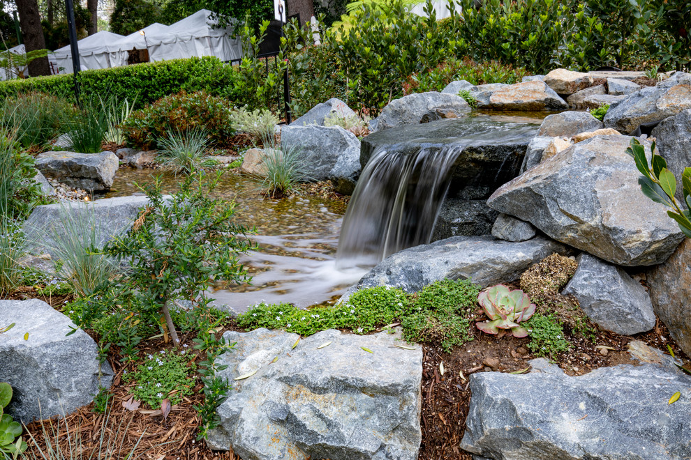 This is an example of a large drought-tolerant and partial sun courtyard mulch pond in Los Angeles for spring.