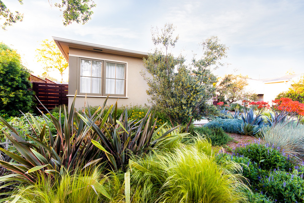 Pasadena Sustainable Planting Contemporary Landscape Los Angeles