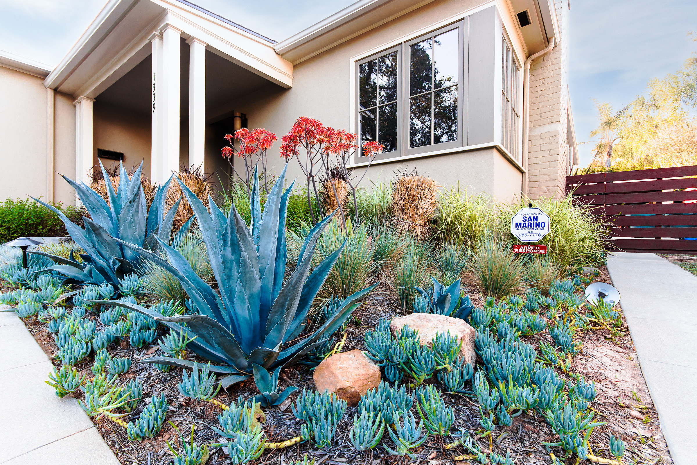 Blue Agave Landscape Houzz