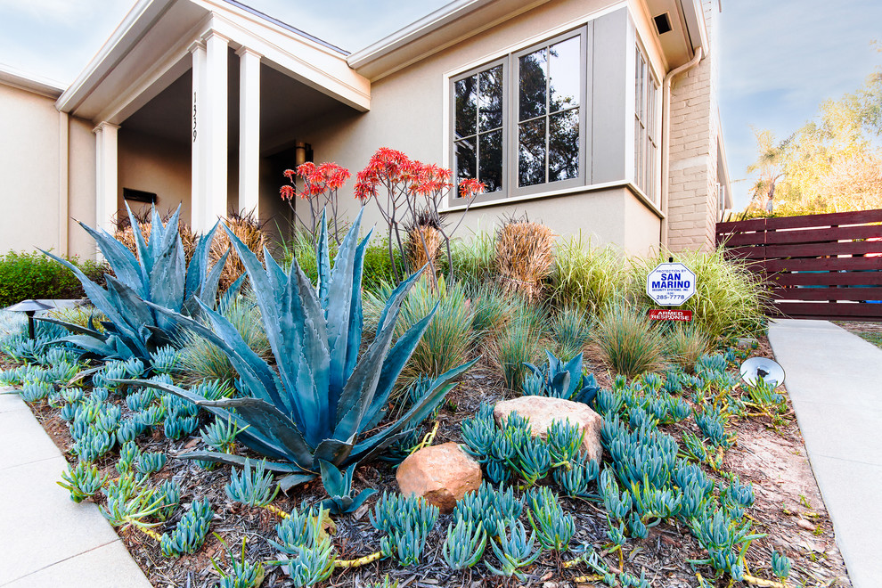 Photo of a small contemporary partial sun and drought-tolerant front yard landscaping in Los Angeles.