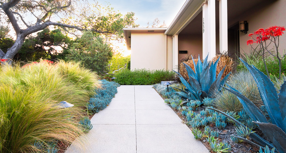Pasadena Sustainable Planting Modern Landscape Los Angeles by Studio H Landscape
