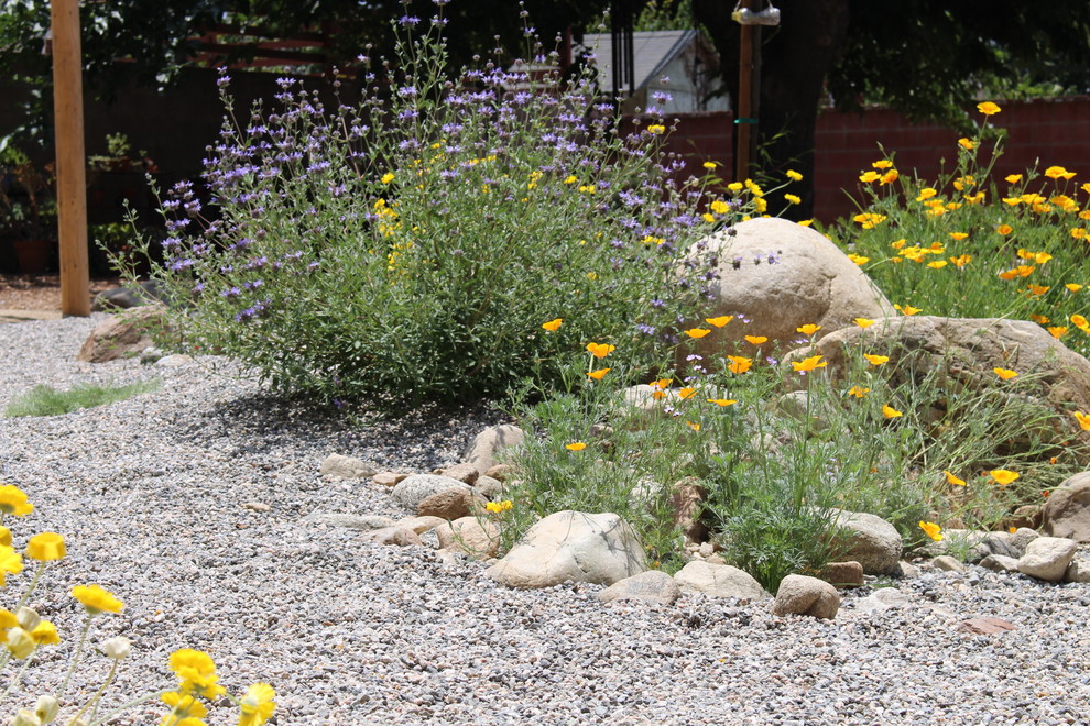 Idee per un giardino xeriscape tradizionale esposto in pieno sole dietro casa e di medie dimensioni in estate con pavimentazioni in pietra naturale