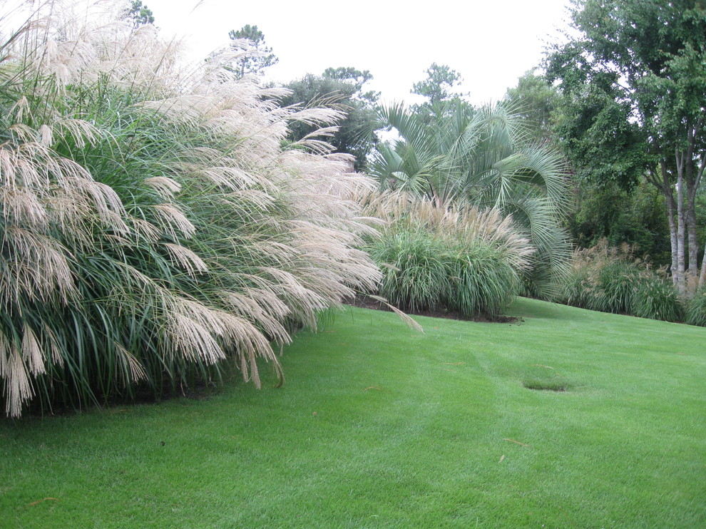 Idee per un grande giardino xeriscape tropicale esposto in pieno sole in estate con un pendio, una collina o una riva