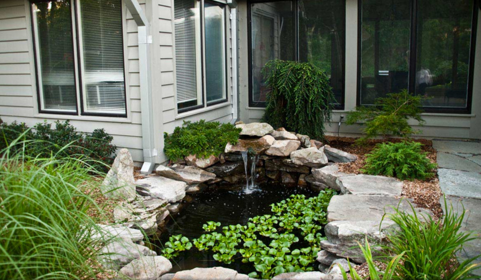 Foto de jardín tradicional de tamaño medio en patio trasero con estanque, exposición parcial al sol y adoquines de piedra natural