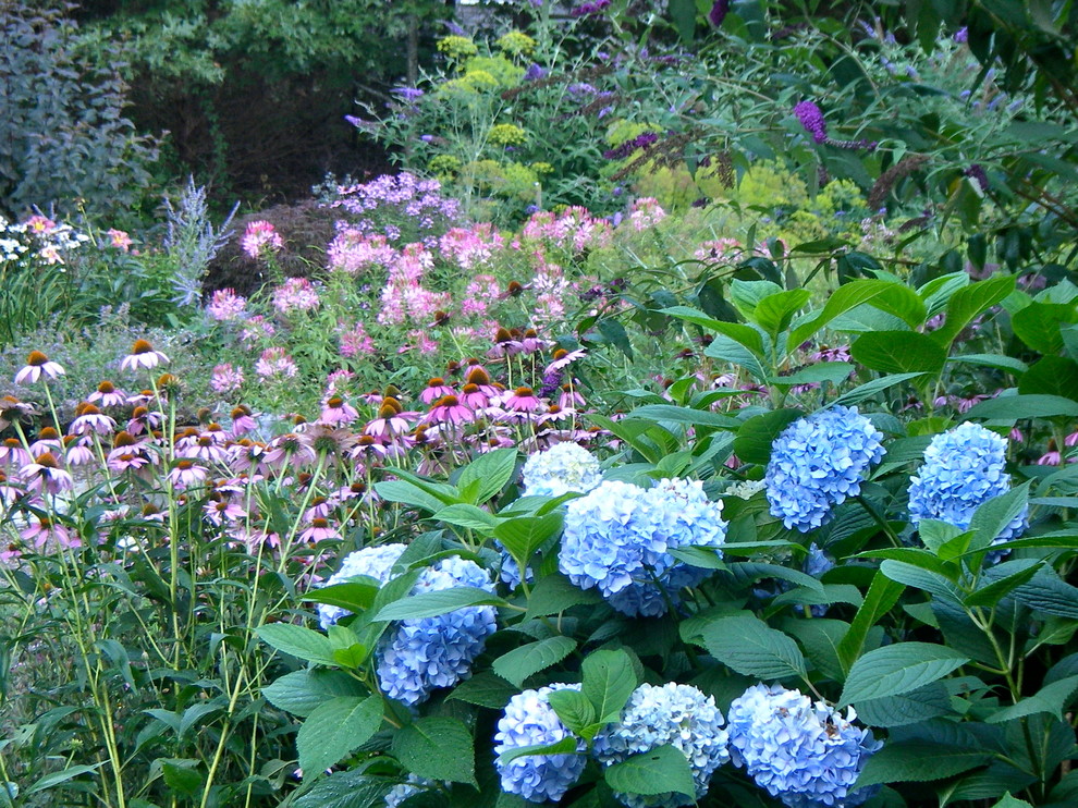 Esempio di un giardino formale tropicale esposto a mezz'ombra di medie dimensioni e dietro casa in primavera con un giardino in vaso