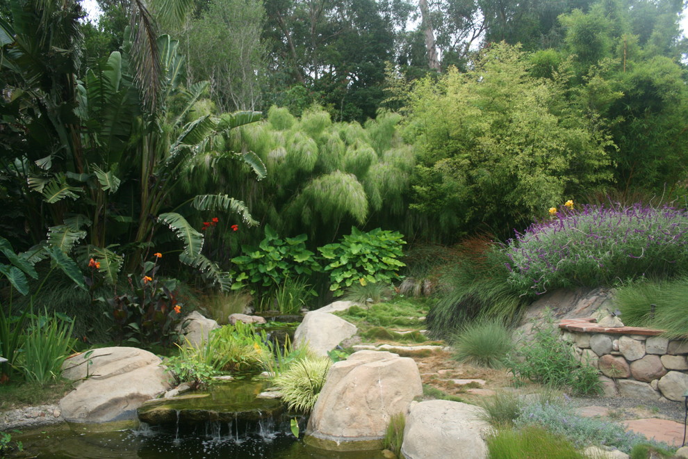 Exemple d'un jardin exotique.