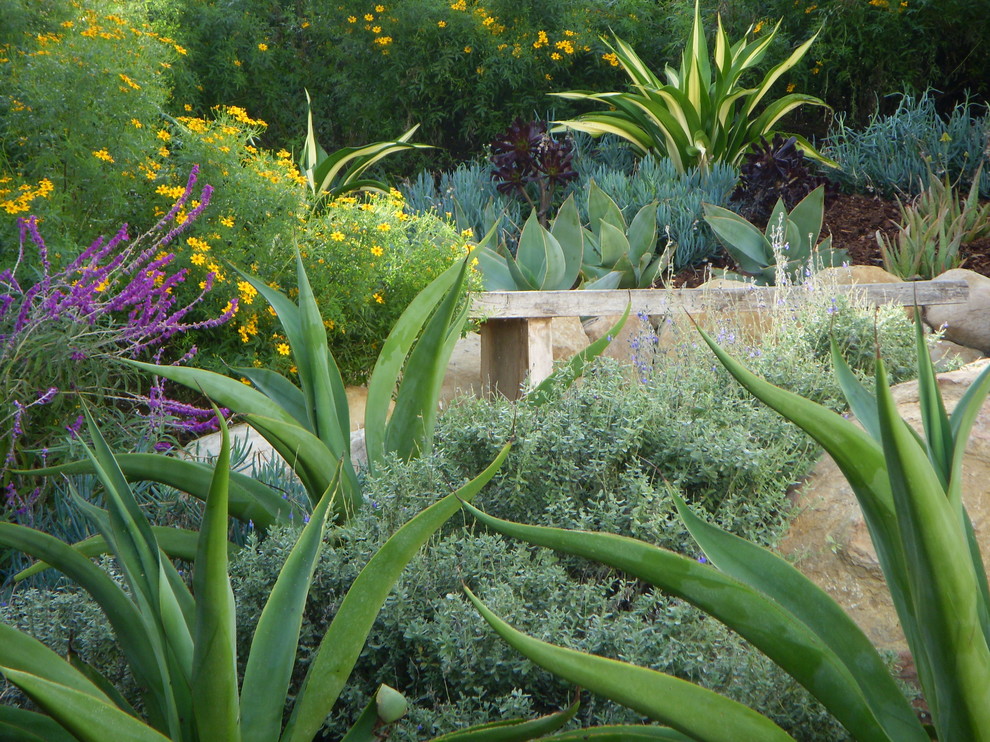Пример оригинального дизайна: солнечный участок и сад на заднем дворе в средиземноморском стиле с хорошей освещенностью