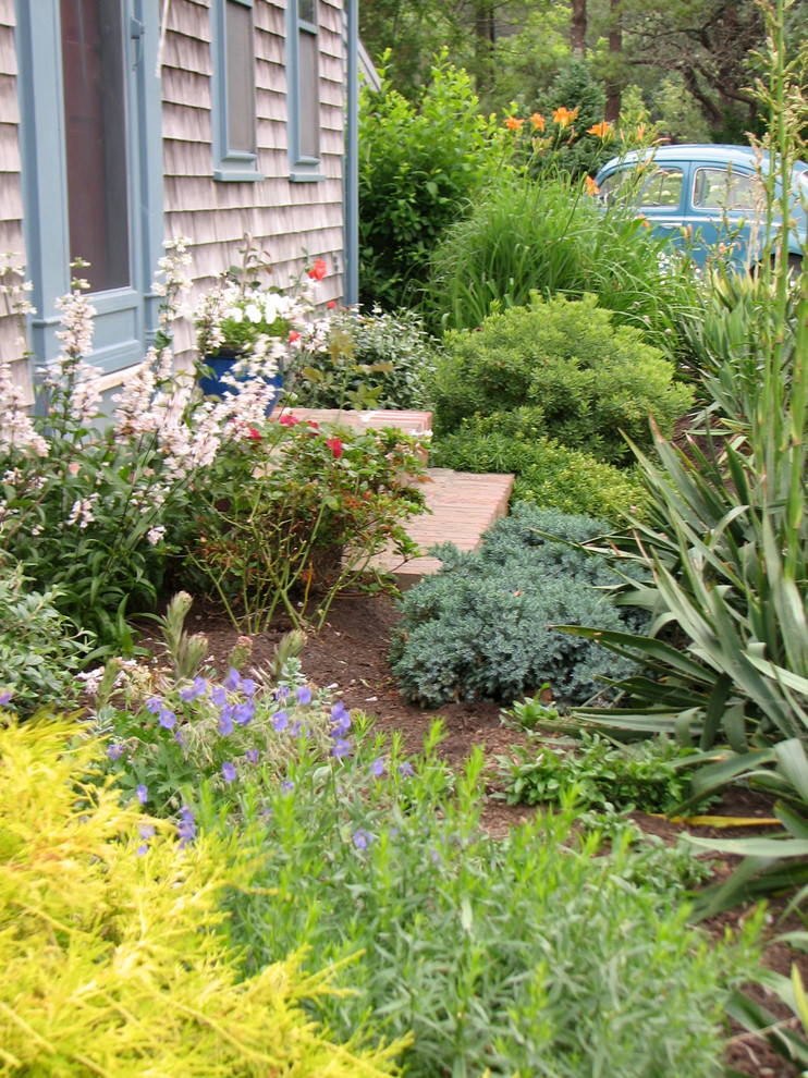 Cette image montre un petit jardin potager avant bohème l'été avec une exposition ensoleillée et des pavés en brique.