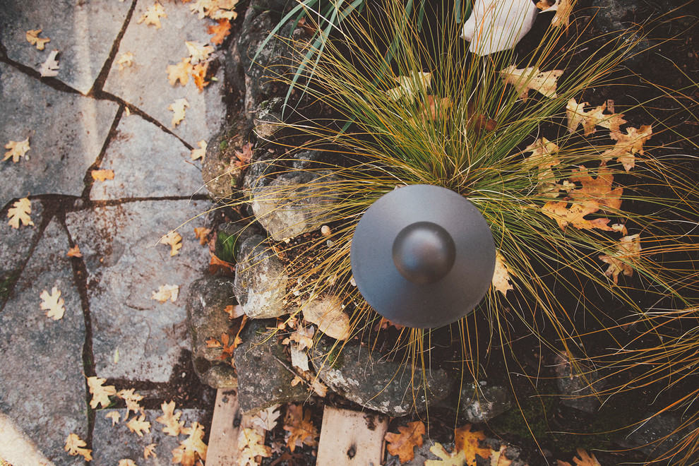 Immagine di un giardino xeriscape classico esposto a mezz'ombra di medie dimensioni e in cortile in autunno con un ingresso o sentiero e pavimentazioni in pietra naturale