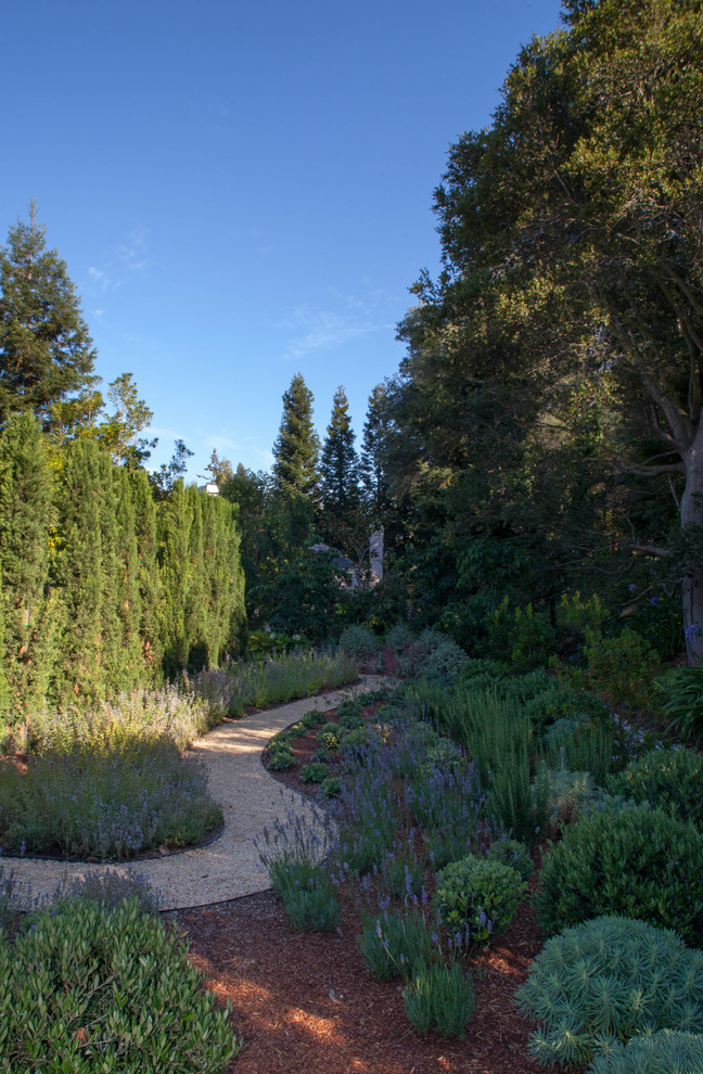 Immagine di un grande giardino formale tradizionale esposto a mezz'ombra dietro casa con un ingresso o sentiero e ghiaia