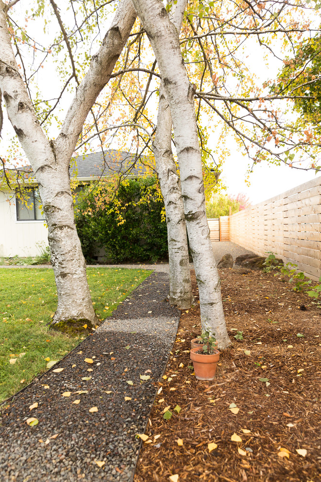 Foto di un giardino xeriscape moderno esposto a mezz'ombra di medie dimensioni e dietro casa in autunno con pavimentazioni in cemento