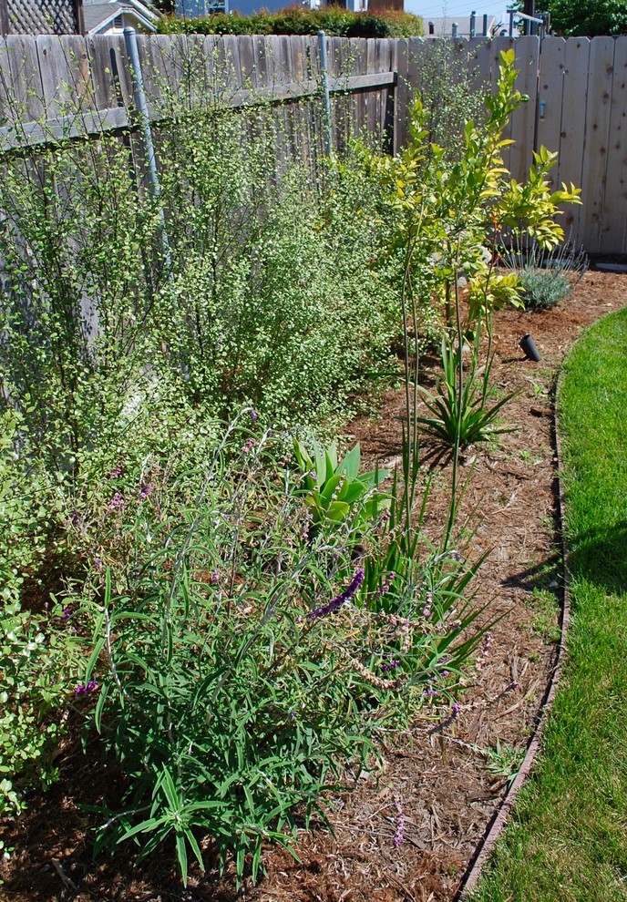 Esempio di un giardino xeriscape boho chic esposto in pieno sole di medie dimensioni e dietro casa con un focolare e pavimentazioni in mattoni