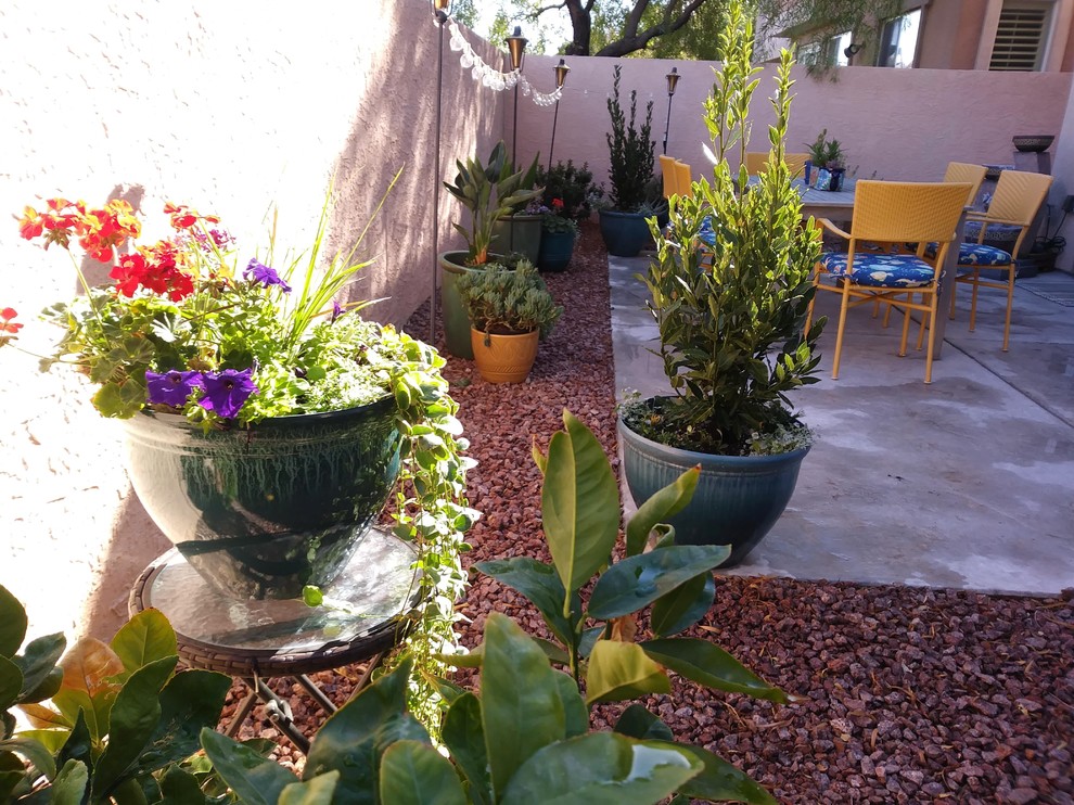 Foto di un giardino mediterraneo con un giardino in vaso