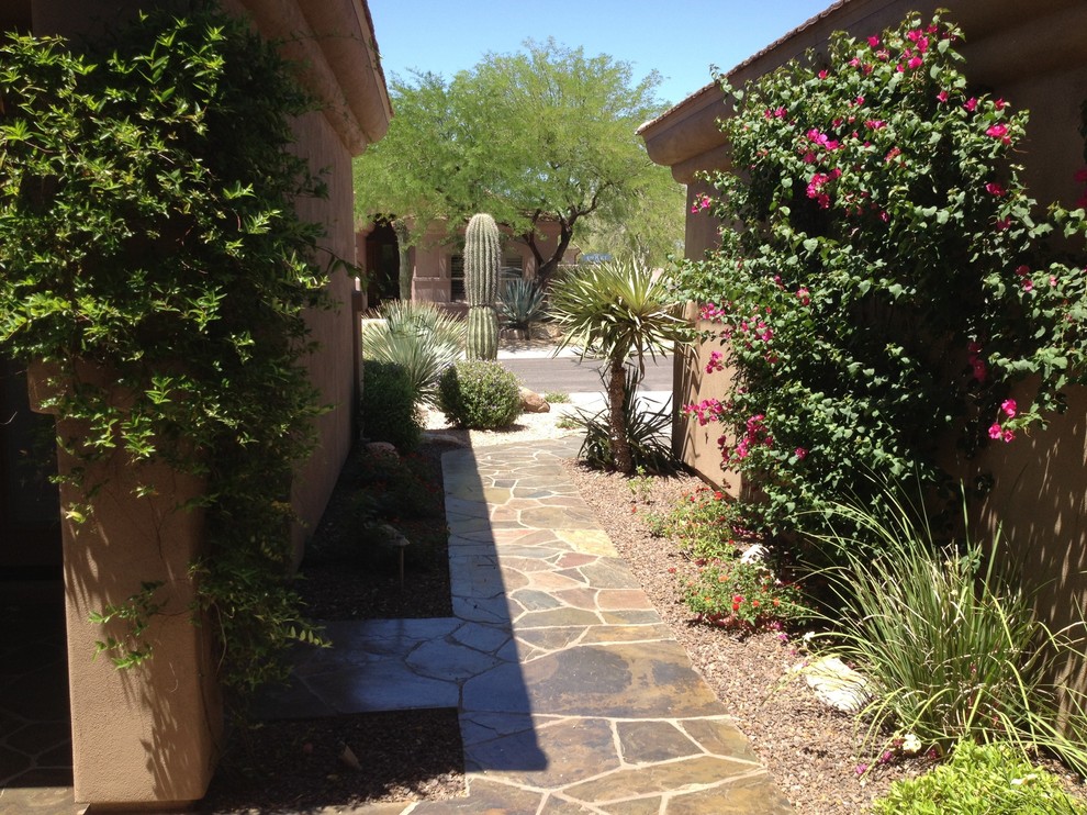Photo of a traditional landscaping in Phoenix.
