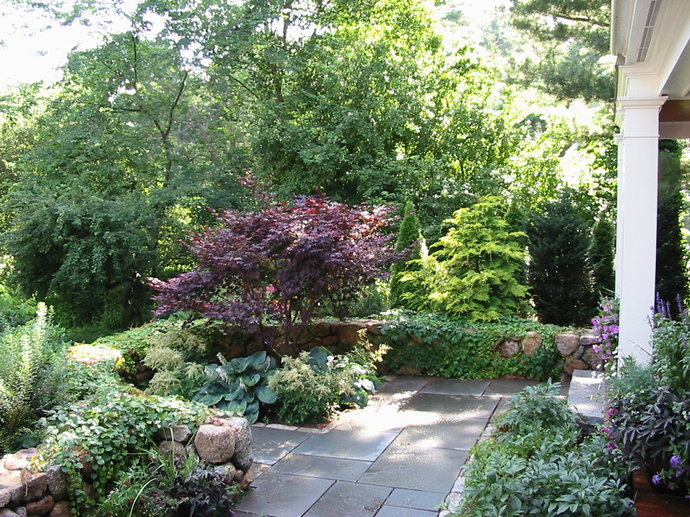 Immagine di un giardino classico esposto in pieno sole di medie dimensioni e dietro casa con un ingresso o sentiero e pavimentazioni in cemento